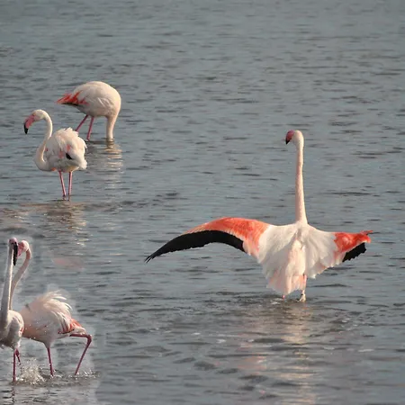 Casa de hóspedes Lewisrooms Domo