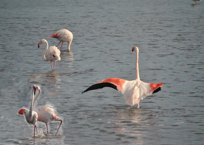 Maison d'hôtes Lewisrooms Domo